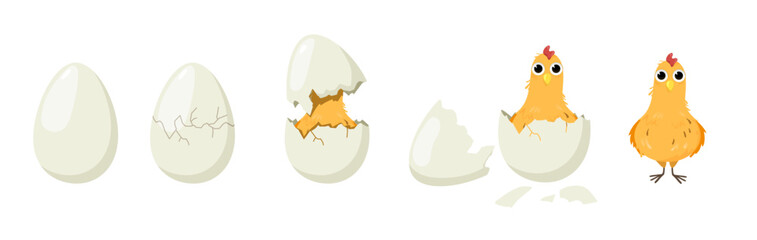 Cute chick hatching process set. Vector illustrations of birth steps from egg to baby bird. Cartoon whole and cracked egg, funny little chicken in shell isolated on white. Farm poultry, Easter concept