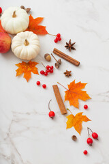 autumn natural decor on white marble background