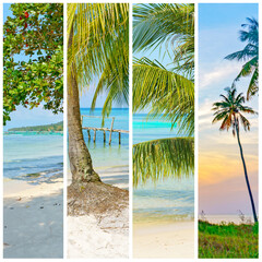 collage of images of beach with palm trees