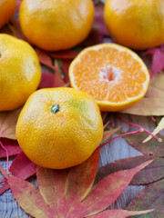신선한 유기농 과일 귤, 단풍잎