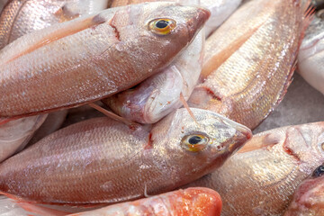 fresh fish at the fish market in Portimao