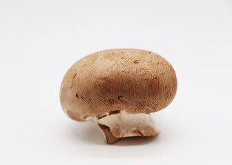 champignon on a white background