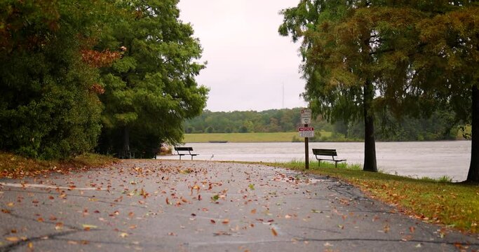 autumn background by the lake at windy day with fallen leaves swirling around