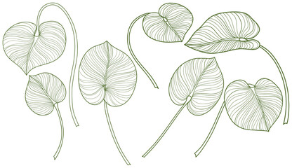 Tropical leaves isolated on white. Hand drawn png illustration.