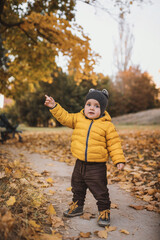Little boy in yellow  jacket playing with autumn fallen leaves in park. Child laughing throwing up orange maple leaves.