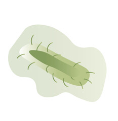 Dangerous bacterium on white background