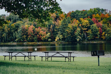 Sitting benches in Waterbury Center State Park, Vermont