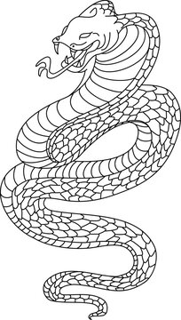 Outline of snake vector. Hand drawn cobra isolate on white background.
