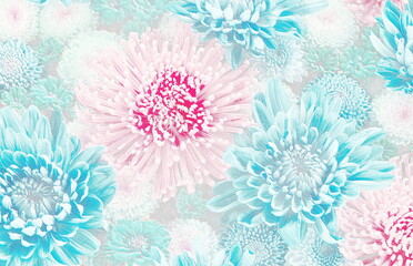 Relief of pink and blue flowers. chrysanthemum arrangement. 3D illustration. 3D render