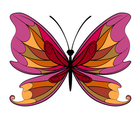 Decorative butterfly with colorful wings in flat linear style isolated on white isolated on white