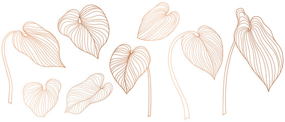 Tropical leaves isolated on white. Hand drawn png illustration.