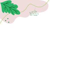 Aesthetic Plant Corner