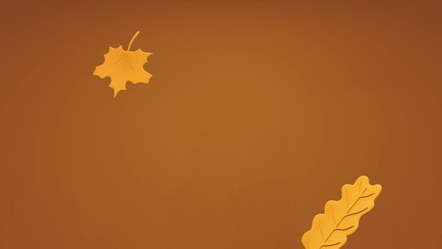 Autumn fall leaves on gradient background. Blowing wind and flying leaves looped 3D render