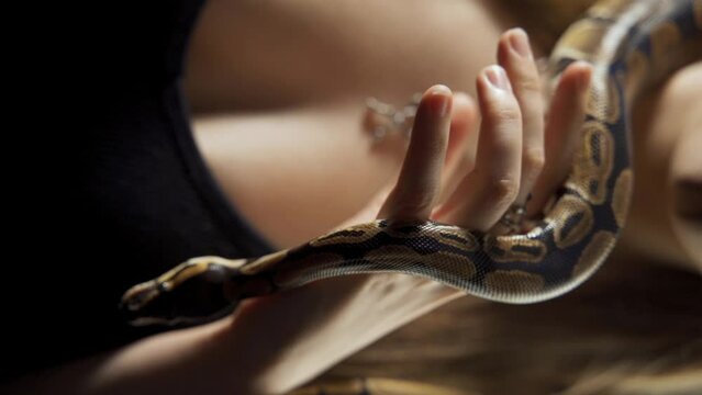 Gothic fantasy woman dark queen of snakes. Girl vampire sleeping. Flowing hair, black dress. 4k art footage