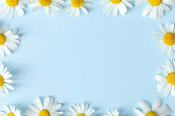 Frame made of chamomiles flowers. Spring background design with copy space.