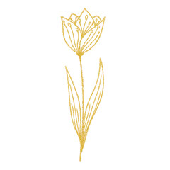 Gold Glitters Tulip Flower line art ornament 