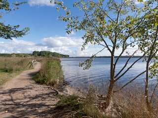 unberührte Natur am Priwall, einer Halbinsel an der Travemündung im Osten Schleswig-Holsteins