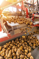 Modern automated production for sorting