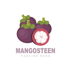 Mangosteen Logo Design, Fresh Fruit Vector for Skin Health, Fruit Shop Brand Illustration And Natural Skin Medicine