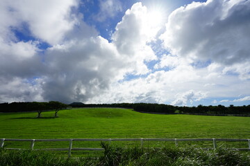 meadow and clouds