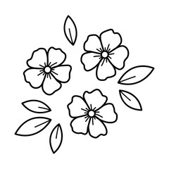 Doodle hand drawn flowers and leaves. Line art botanical floral design element