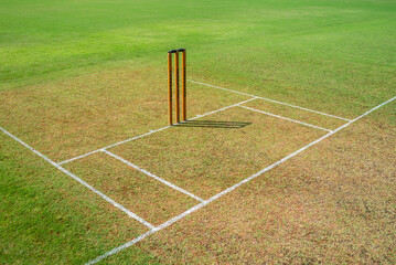 The crease - The batter's arena