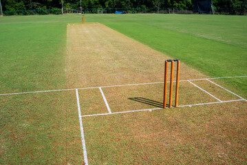 The whole 22 yards - cricket pitch - obrazy, fototapety, plakaty