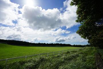meadow and clouds