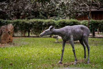 Obraz na płótnie Canvas deer in the field green background