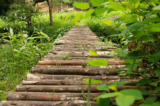 A wooden bridge across a brook