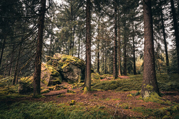 Der Bayerische Wald zum Herbstanfang mit grünem Wald und Bäumen. Bayern Deutschland