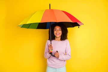 Photo of young cheerful lady hold umbrella rainy weather spring isolated over yellow color...