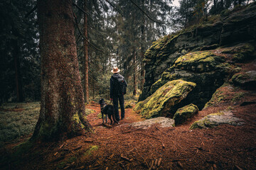 Obraz premium Der Bayerische Wald zum Herbstanfang mit grünem Wald und Bäumen. Bayern Deutschland