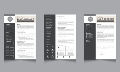 Resume Layout with Black Sidebar cv design with vector
