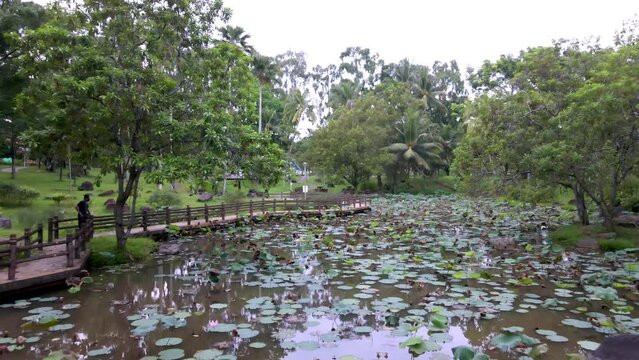 Aerial Dolly View Of A Big Pond At Bishan Or Ang Mo Kio Park