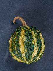 Small decorative pumpkins. Ornamental gourds and squash types. Autumn or fall composition for...