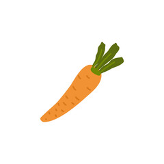 Orange ripe carrot. Cartoon icon of raw carrot with green tops vector illustration.