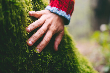 Close up of woman hand kindly touch a soft green musk on a trunk tree. Love for nature and outdoor...