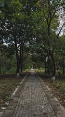 Old road to the monument in the park