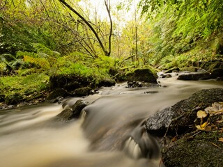 The stream at Wyming Brook near Sheffield.