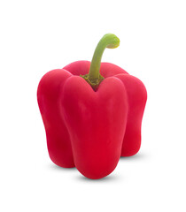 bell pepper  isolated on white background