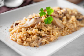 Vassoio di delizioso risotto ai funghi, cibo italiano