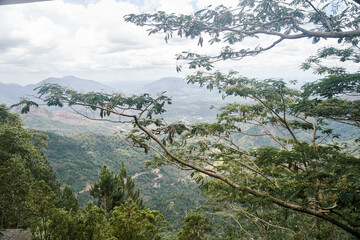 Beautiful forest and mountain landscape in Sri Lanka