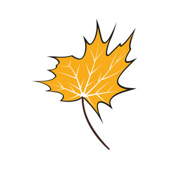 Naklejka na ściany i meble Maple leaf logo Template vector icon illustration design