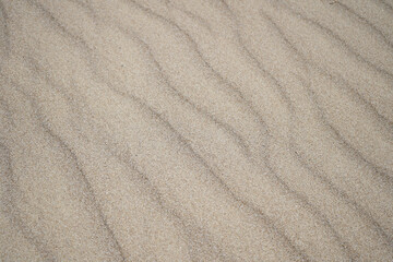 Fototapeta na wymiar Sand texture. Sandy beach for background. Top view 