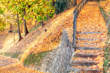 Deserted park alley and steps on mountain slope covered with a carpet of yellow fallen leaves surrounded by autumn maples (selective focus)