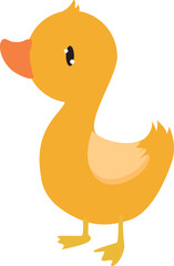 Cute duckling. Little duckling. Funny bird. Farm animal. simple duck illustration