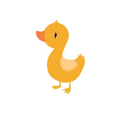 Cute vector duckling. Little duckling. Funny bird. Farm animal. simple duck illustration