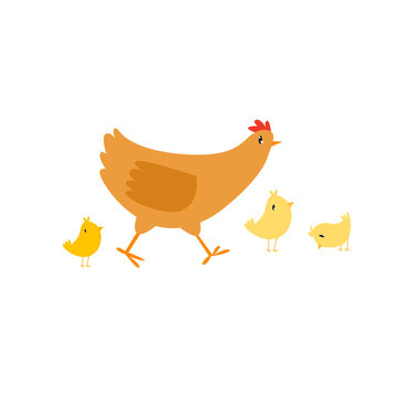 Cute family of chickens. Mother hen and chicks. Funny cartoon animal. Farm animal. A simple illustration of farm birds.