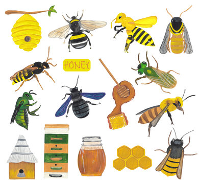 Bee and honey set gouache illustration isolated on white background. Beehive, insect, honey keeper, honey comb and jar tropical animal.Scrapbook design element, opague watercolor clipart.Hand painted.